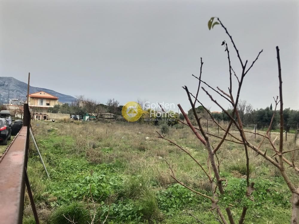 Αγροτεμάχιο στην Μεγάλα Σχοινία Α, Αχαρνές — Φωτογραφία 6 από 11