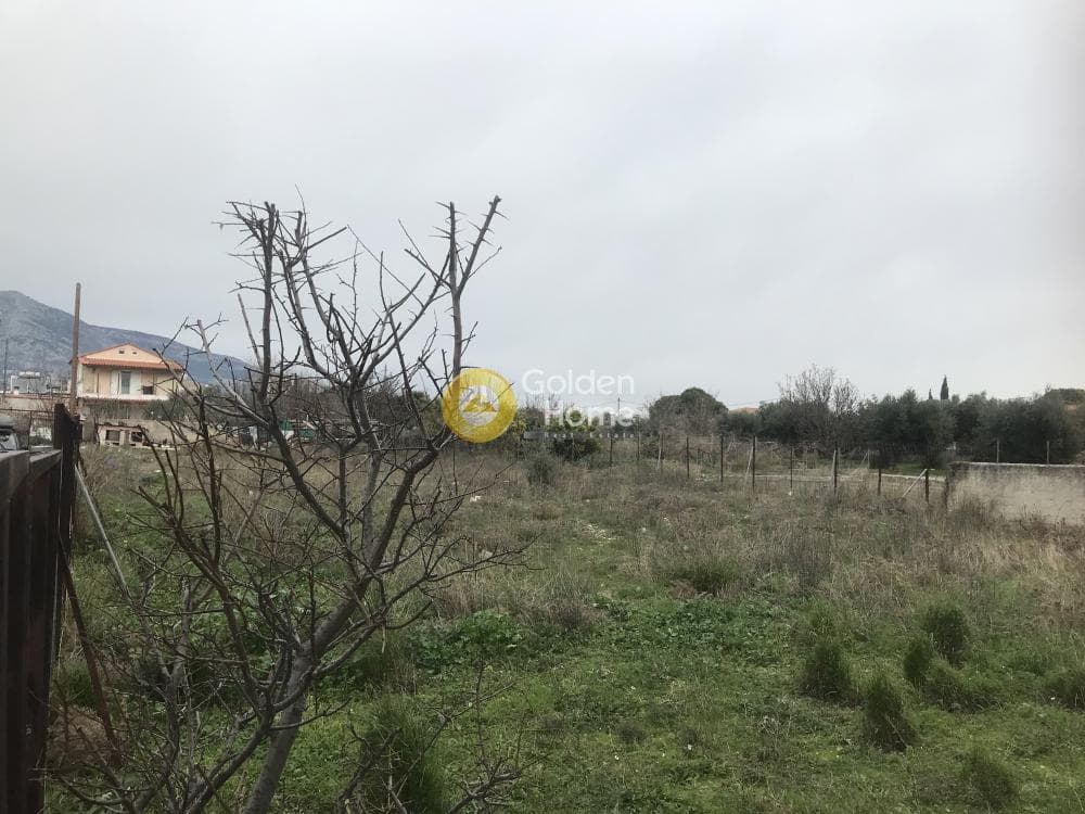 Αγροτεμάχιο στην Μεγάλα Σχοινία Α, Αχαρνές — Φωτογραφία 8 από 11