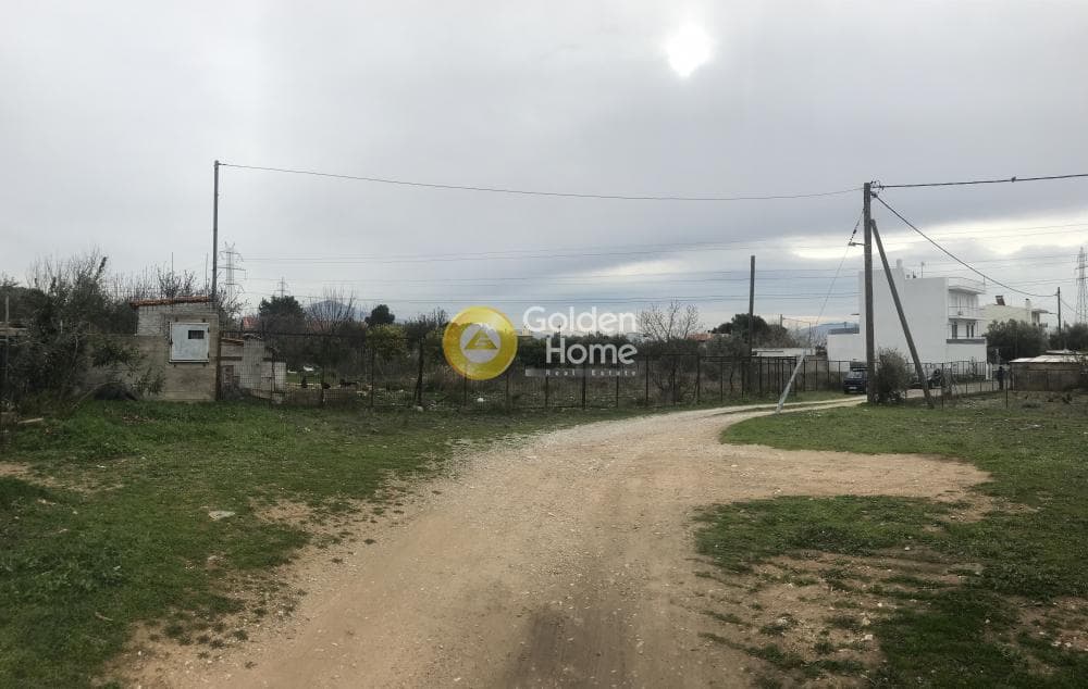 Αγροτεμάχιο στην Μεγάλα Σχοινία Α, Αχαρνές — Φωτογραφία 3 από 11
