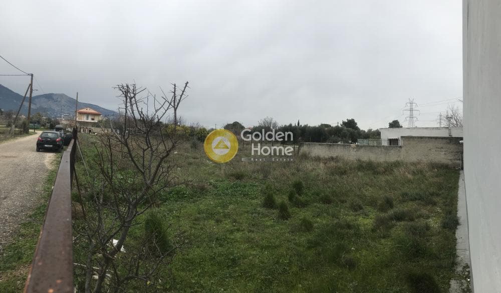 Αγροτεμάχιο στην Μεγάλα Σχοινία Α, Αχαρνές — Φωτογραφία 11 από 11
