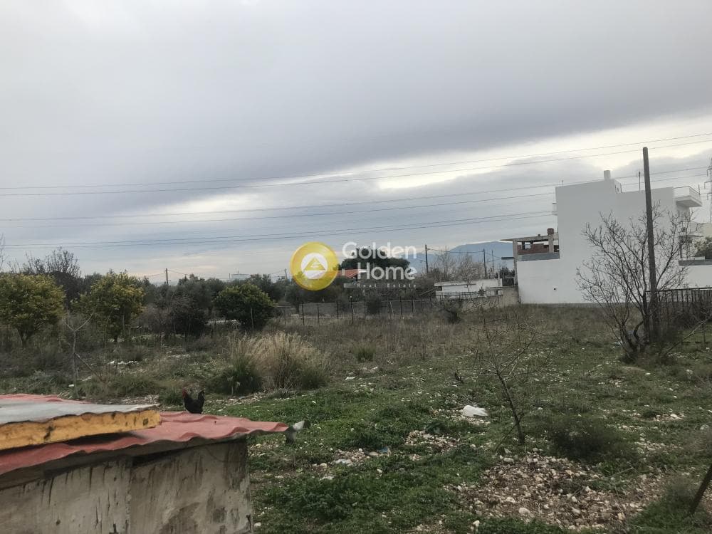 Αγροτεμάχιο στην Μεγάλα Σχοινία Α, Αχαρνές — Φωτογραφία 10 από 11