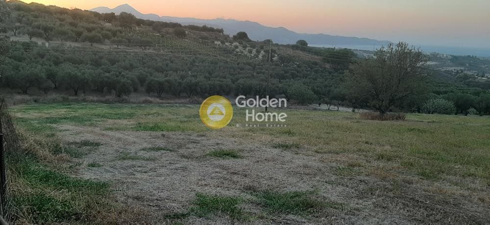 Building Plot in Agios Antonios, Temenos — Photo 4 of 11