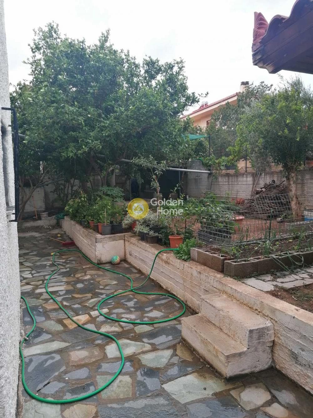 House in Elaionas, Anavissos — Photo 2 of 12