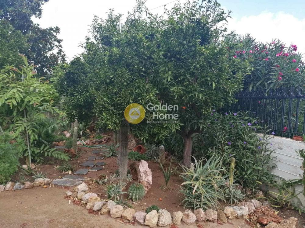 House in Elaionas, Anavissos — Photo 4 of 12
