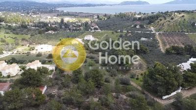 Building Plot in Vergeika, Spetses — Photo 2 of 8