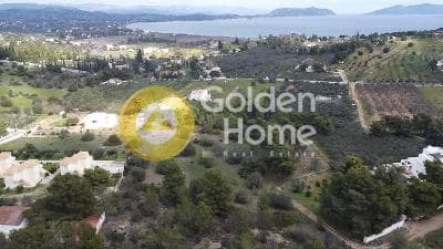 Building Plot in Vergeika, Spetses — Photo 7 of 8