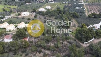 Building Plot in Vergeika, Spetses — Photo 8 of 8