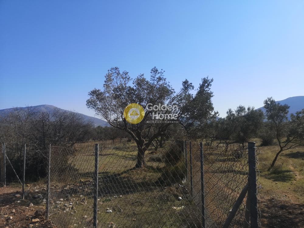 Αγροτεμάχιο στην Κέντρο, Καλύβια Θορικού — Φωτογραφία 2 από 7