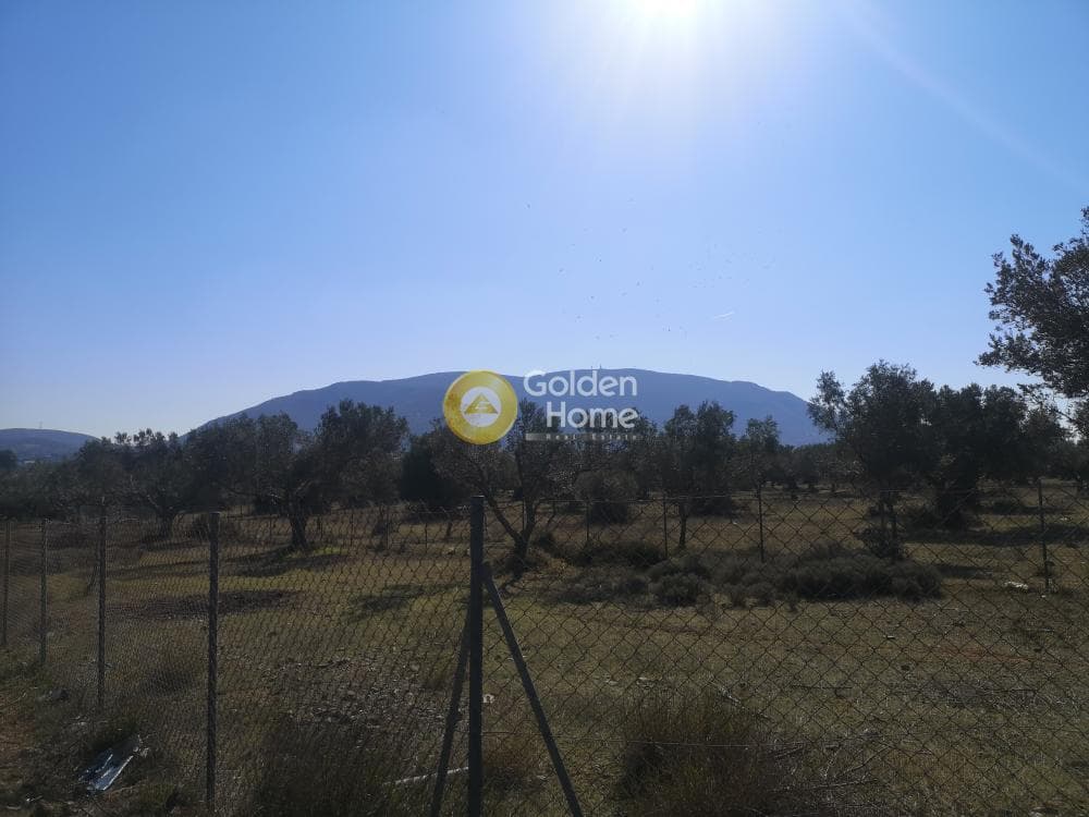 Αγροτεμάχιο στην Κέντρο, Καλύβια Θορικού — Φωτογραφία 3 από 7