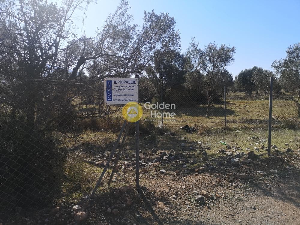 Αγροτεμάχιο στην Κέντρο, Καλύβια Θορικού — Φωτογραφία 4 από 7