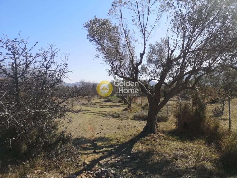 Αγροτεμάχιο στην Κέντρο, Καλύβια Θορικού — Φωτογραφία 6 από 7