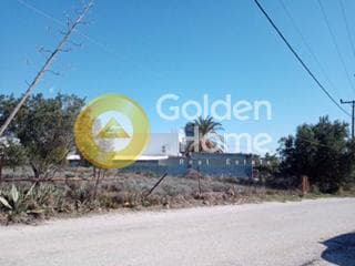 Parcel in Center, Koropi — Photo 6 of 6