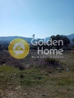 Parcel in Center, Koropi — Photo 5 of 6