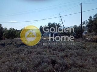 Parcel in Center, Koropi — Photo 4 of 6