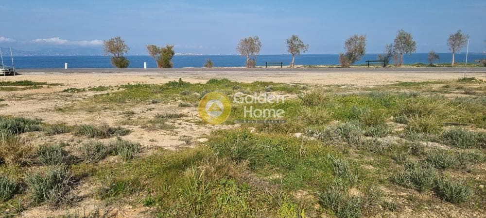 Parcel in Kipseli, Aegina — Photo 1 of 5