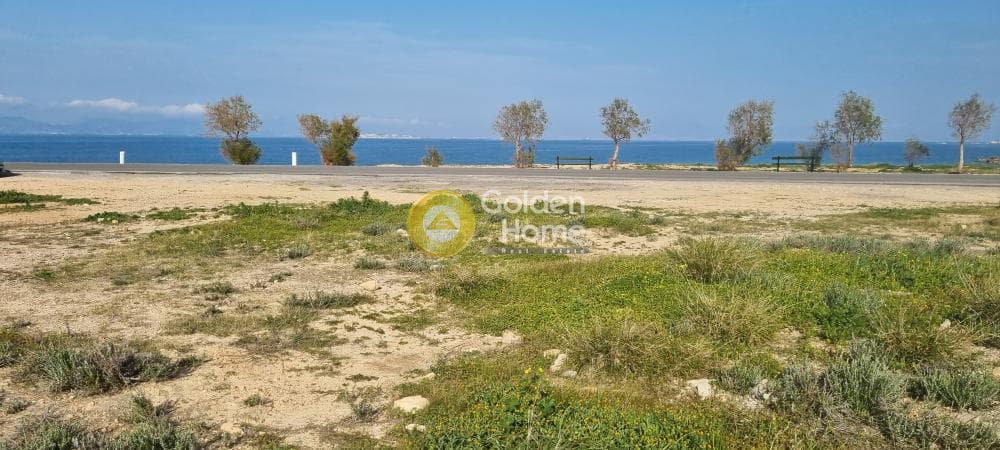 Parcel in Kipseli, Aegina — Photo 5 of 5