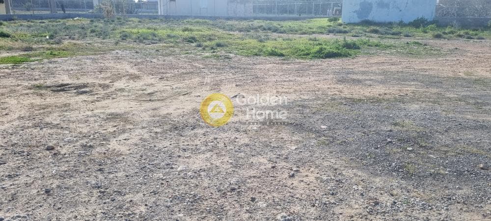 Parcel in Kipseli, Aegina — Photo 5 of 5