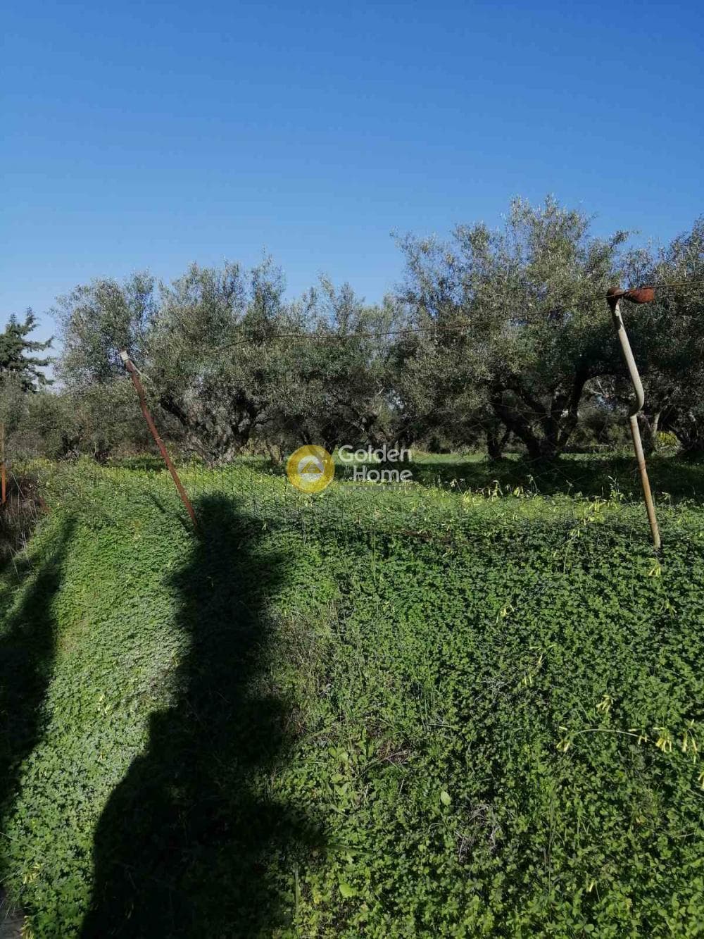 Building Plot in Elia, Episkopi — Photo 4 of 5
