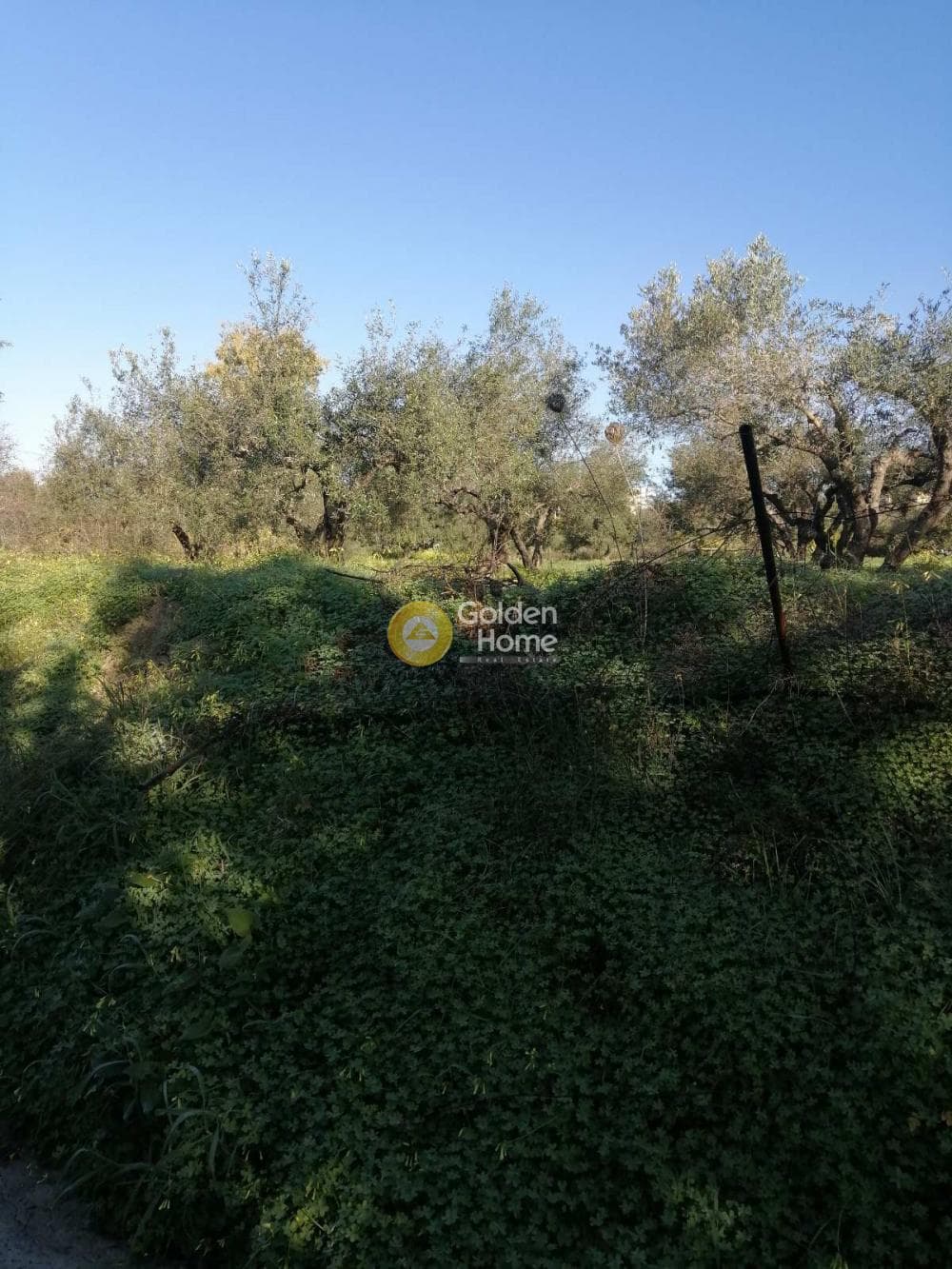 Building Plot in Elia, Episkopi — Photo 5 of 5
