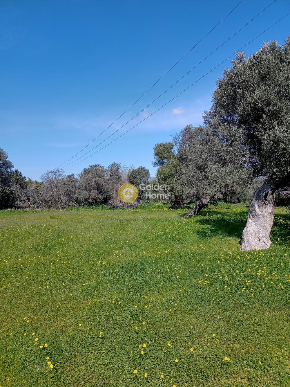 Αγροτεμάχιο στην Κόκκινος Πύργος, Τυμπάκι — Φωτογραφία 2 από 3