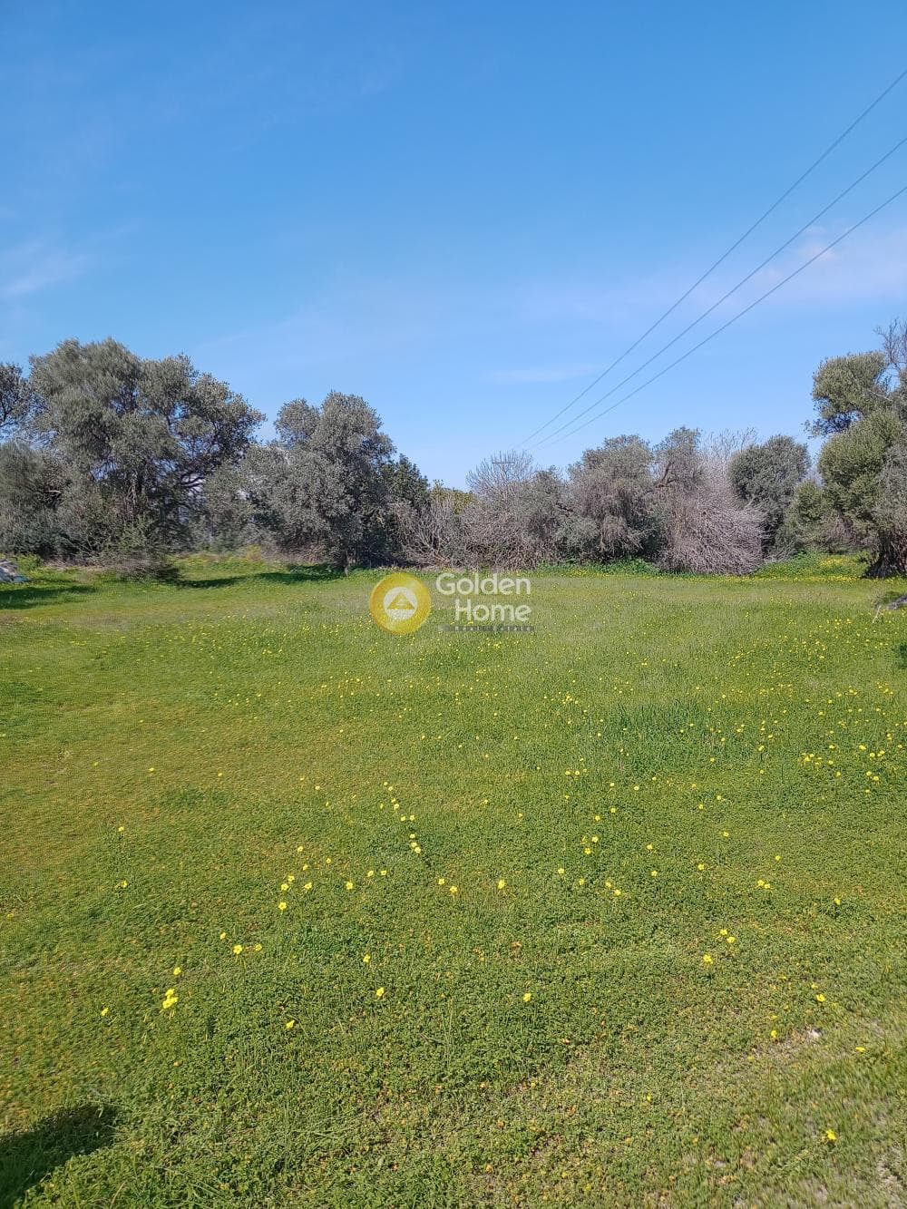 Αγροτεμάχιο στην Κόκκινος Πύργος, Τυμπάκι — Φωτογραφία 3 από 3