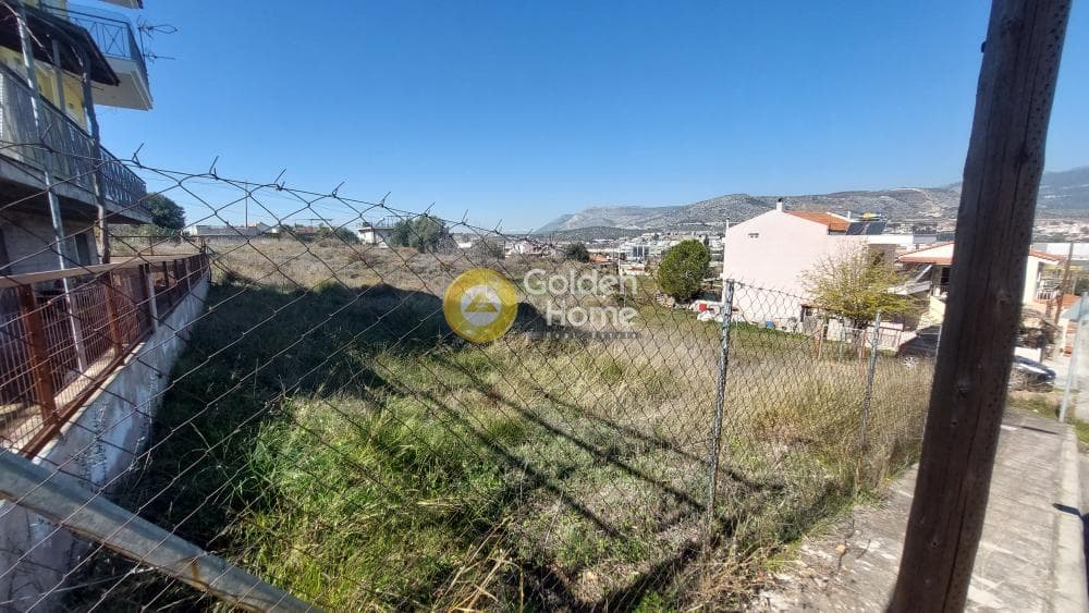 Building Plot in Zofria, Ano Liosia — Photo 5 of 8