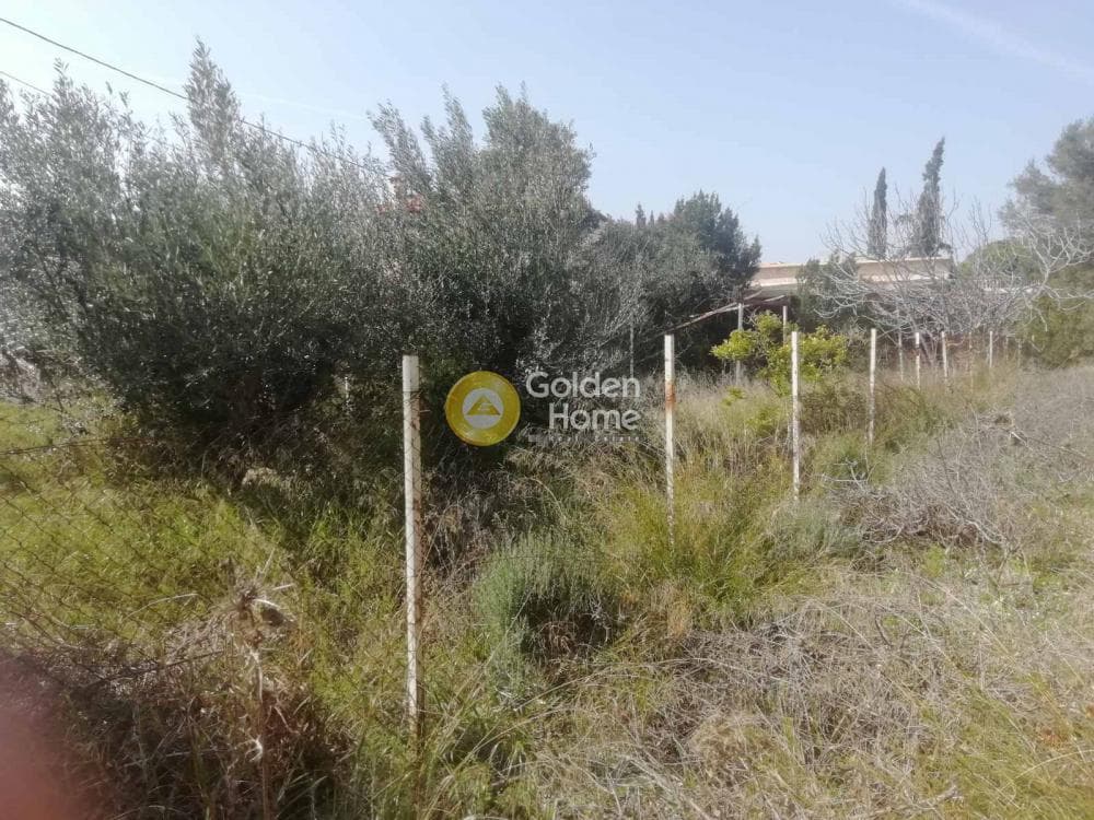 Building Plot in Agia Marina, Koropi — Photo 15 of 23