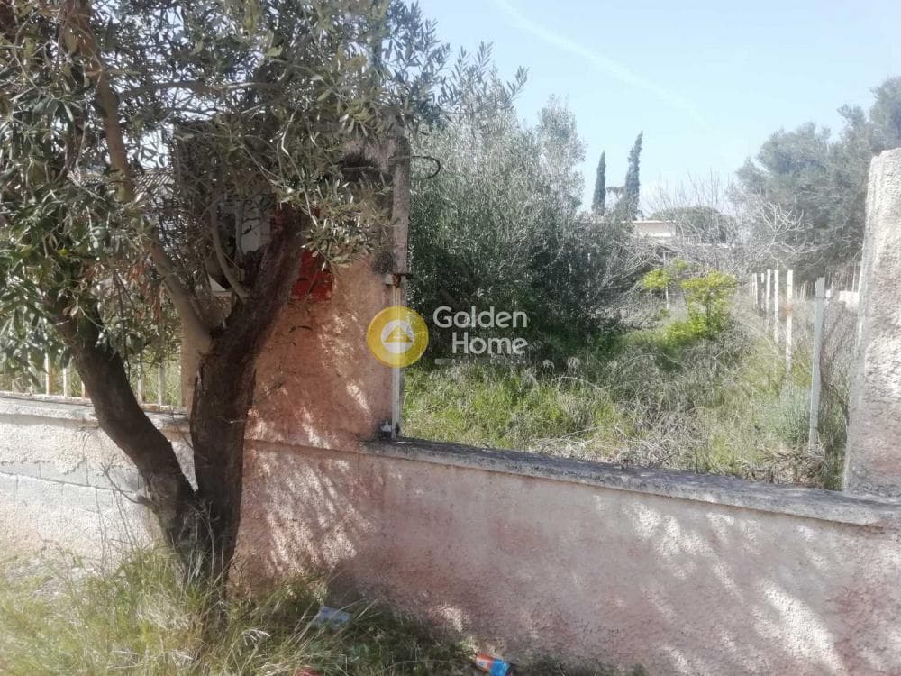 Building Plot in Agia Marina, Koropi — Photo 13 of 23