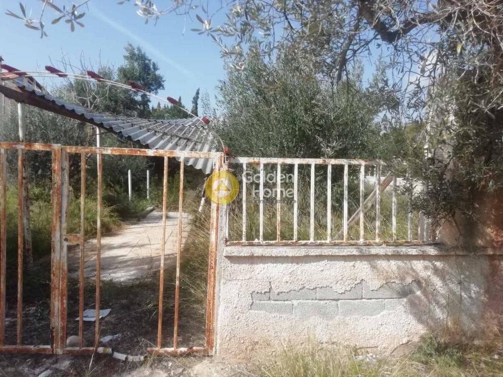 Building Plot in Agia Marina, Koropi — Photo 23 of 23