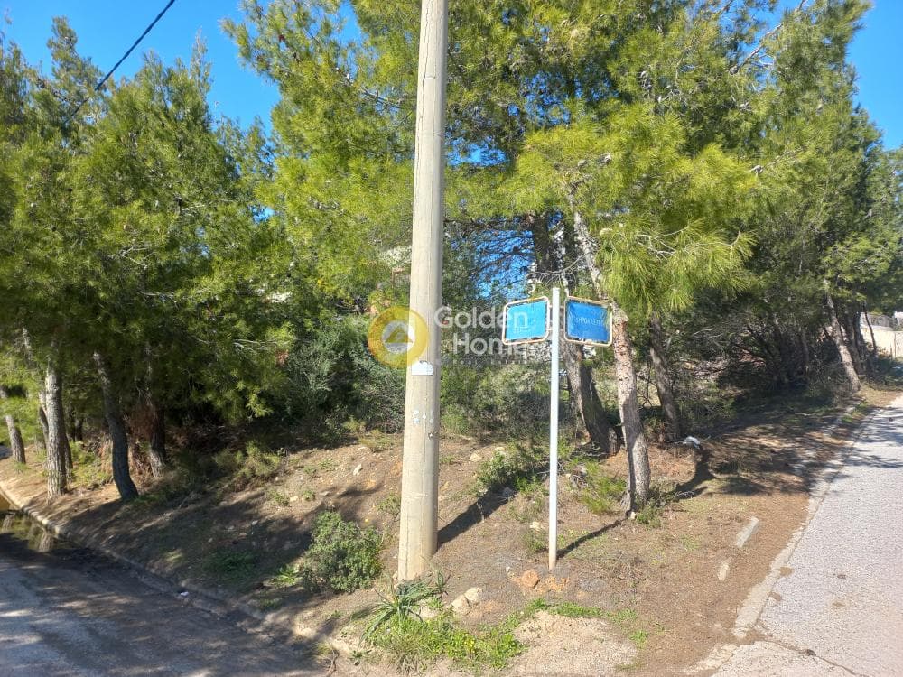 Οικόπεδο στην Διώνη, Πικέρμι — Φωτογραφία 1 από 5