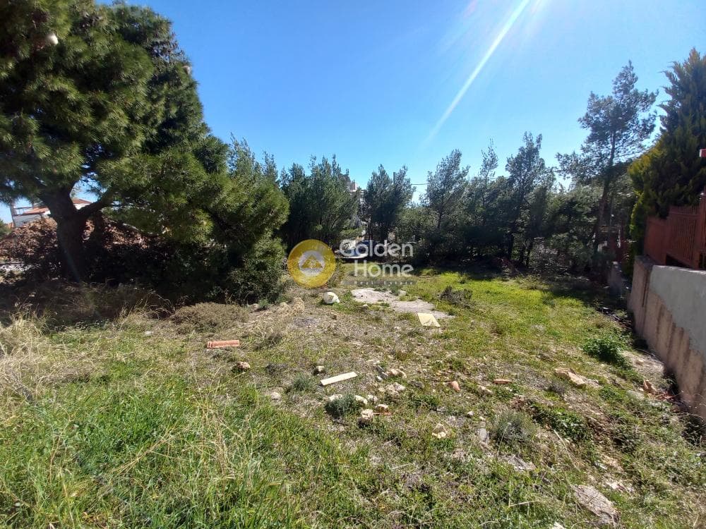 Οικόπεδο στην Διώνη, Πικέρμι — Φωτογραφία 2 από 5