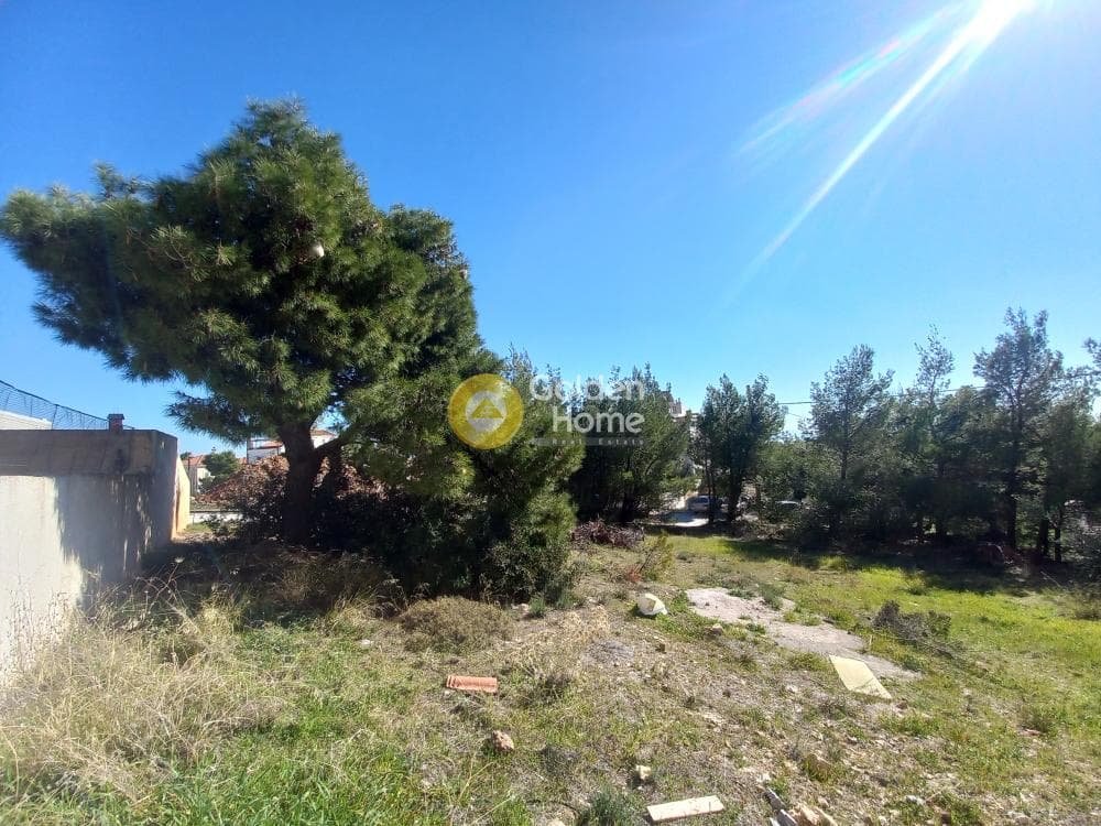 Οικόπεδο στην Διώνη, Πικέρμι — Φωτογραφία 3 από 5