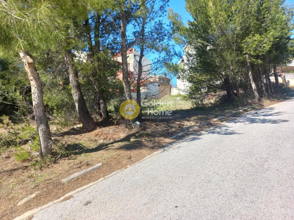 Οικόπεδο στην Διώνη, Πικέρμι — Φωτογραφία 4 από 5