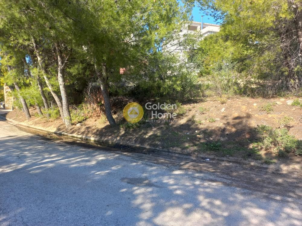 Οικόπεδο στην Διώνη, Πικέρμι — Φωτογραφία 5 από 5