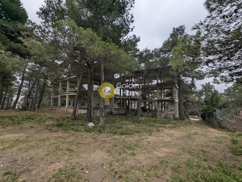 Building Plot in Avgi, Afidnes — Photo 2 of 5