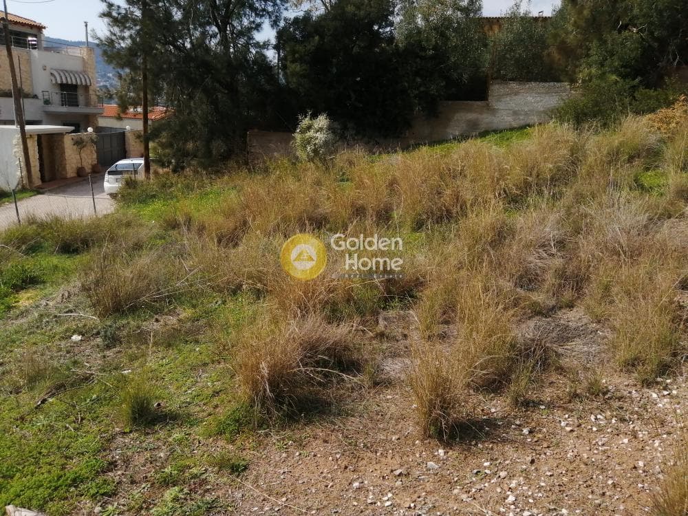 Building Plot in Agia Marina, Koropi — Photo 10 of 10