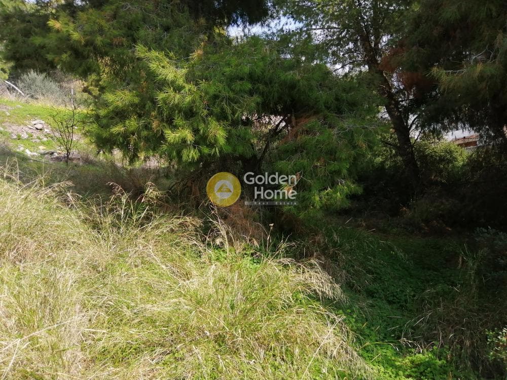 Building Plot in Agia Marina, Koropi — Photo 3 of 10