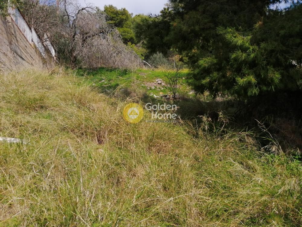 Building Plot in Agia Marina, Koropi — Photo 6 of 10