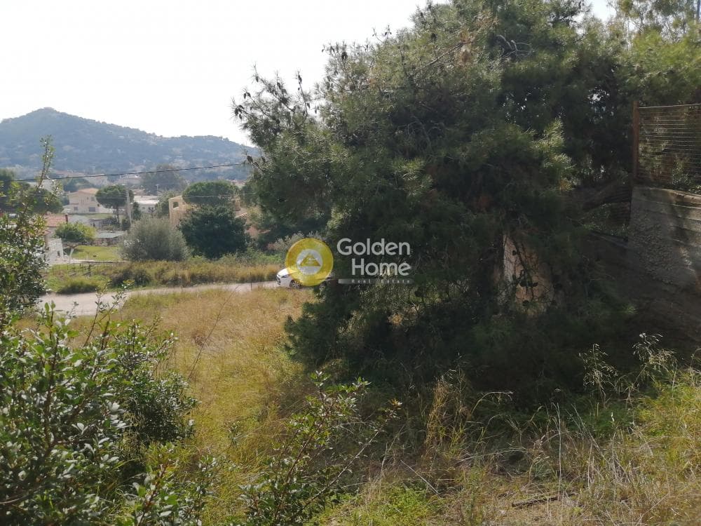Building Plot in Agia Marina, Koropi — Photo 2 of 10