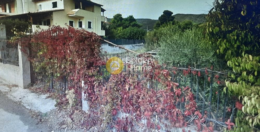 Οικόπεδο στην Νέο Λιβύσσι, Νέα Μάκρη — Φωτογραφία 2 από 4