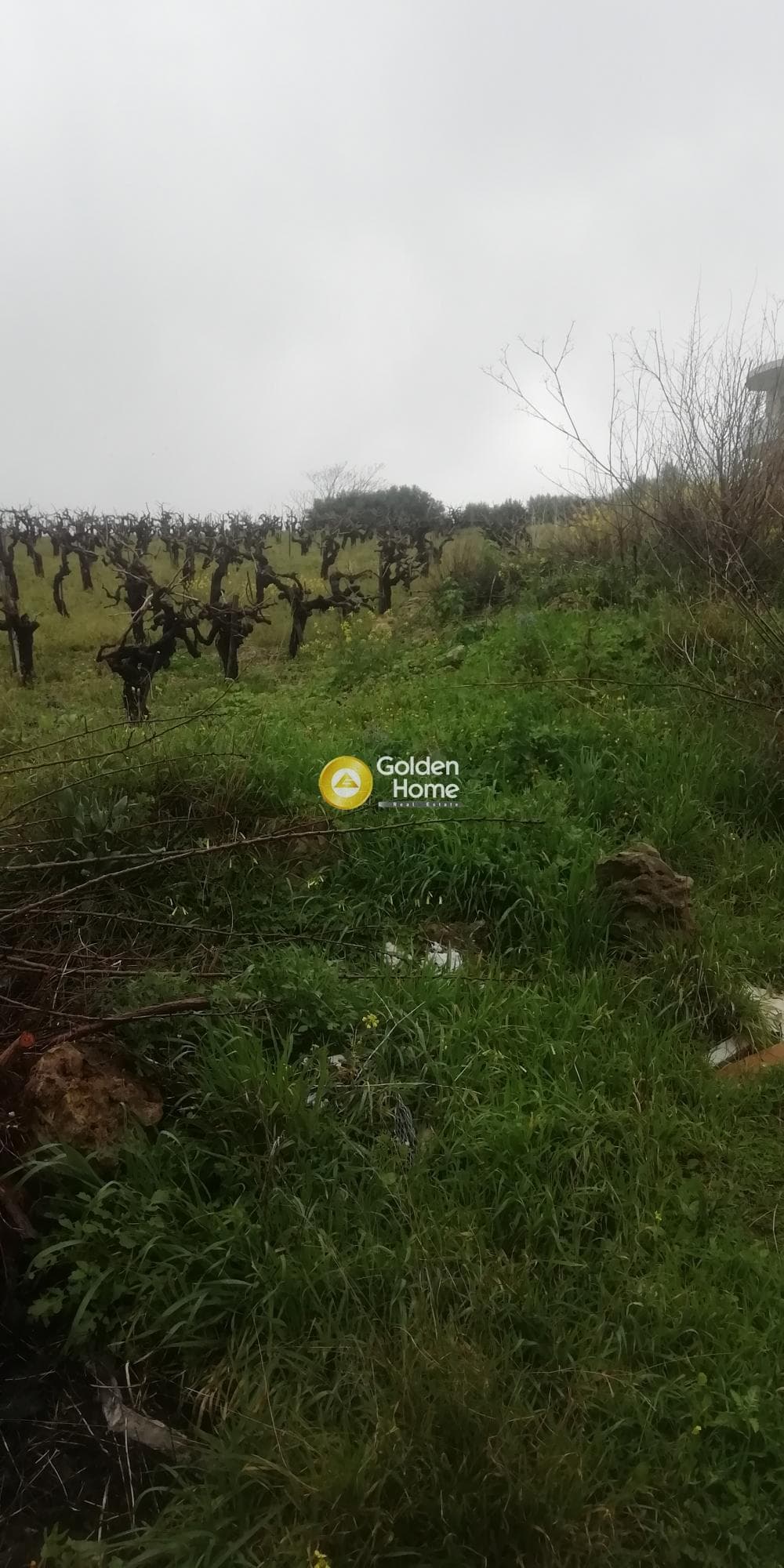 Οικόπεδο στην Άγιος Βλάσιος, Αρχάνες — Φωτογραφία 2 από 5
