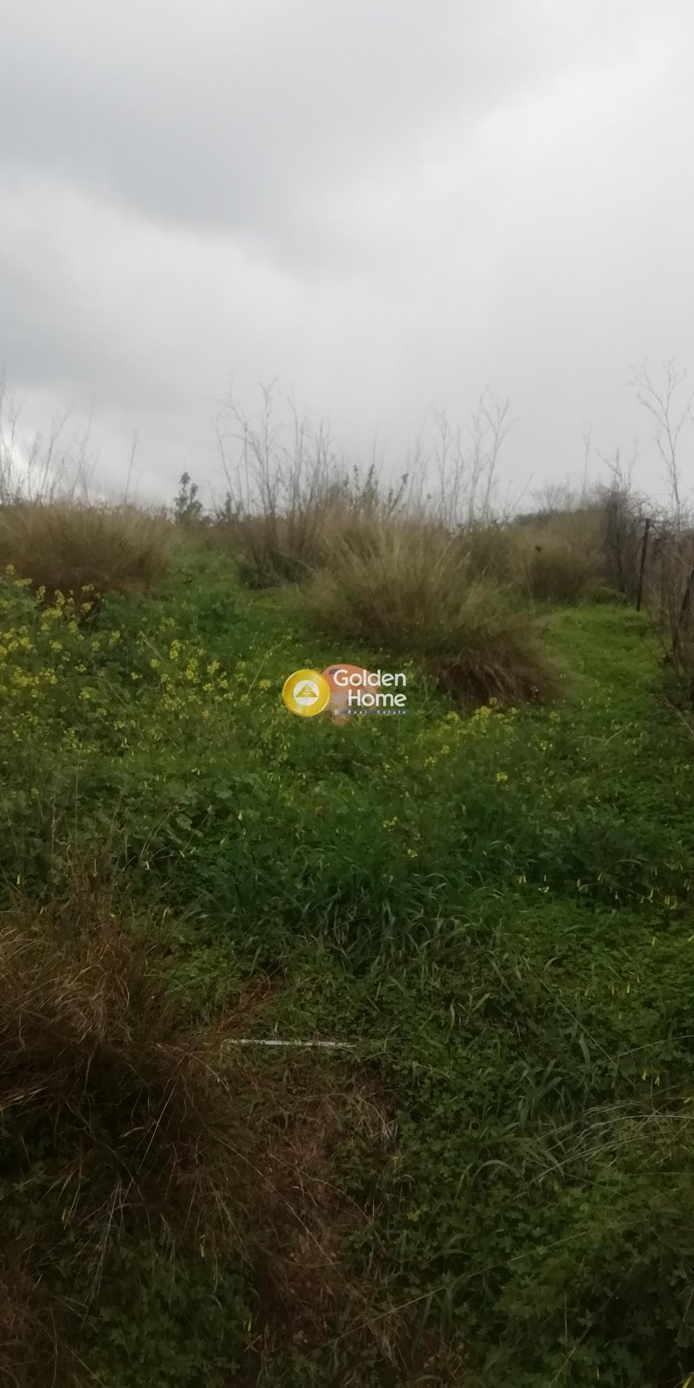 Οικόπεδο στην Άγιος Βλάσιος, Αρχάνες — Φωτογραφία 5 από 5