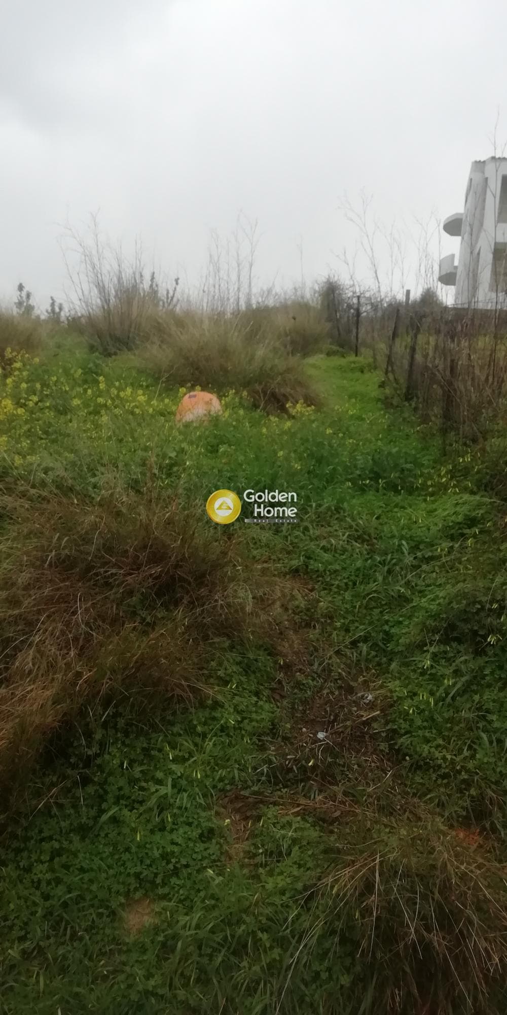 Οικόπεδο στην Άγιος Βλάσιος, Αρχάνες — Φωτογραφία 3 από 5