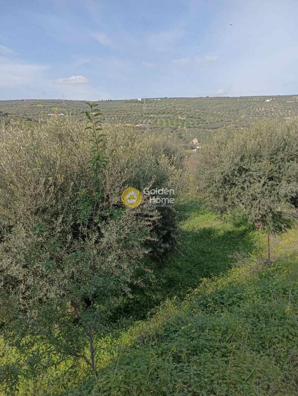 Building Plot in Skalani, Episkopi — Photo 1 of 7