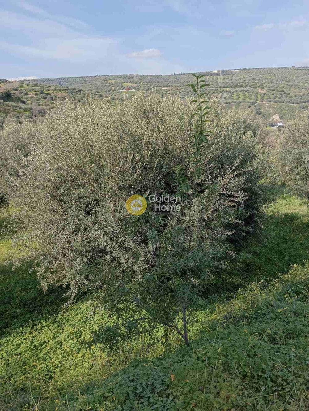 Building Plot in Skalani, Episkopi — Photo 2 of 7