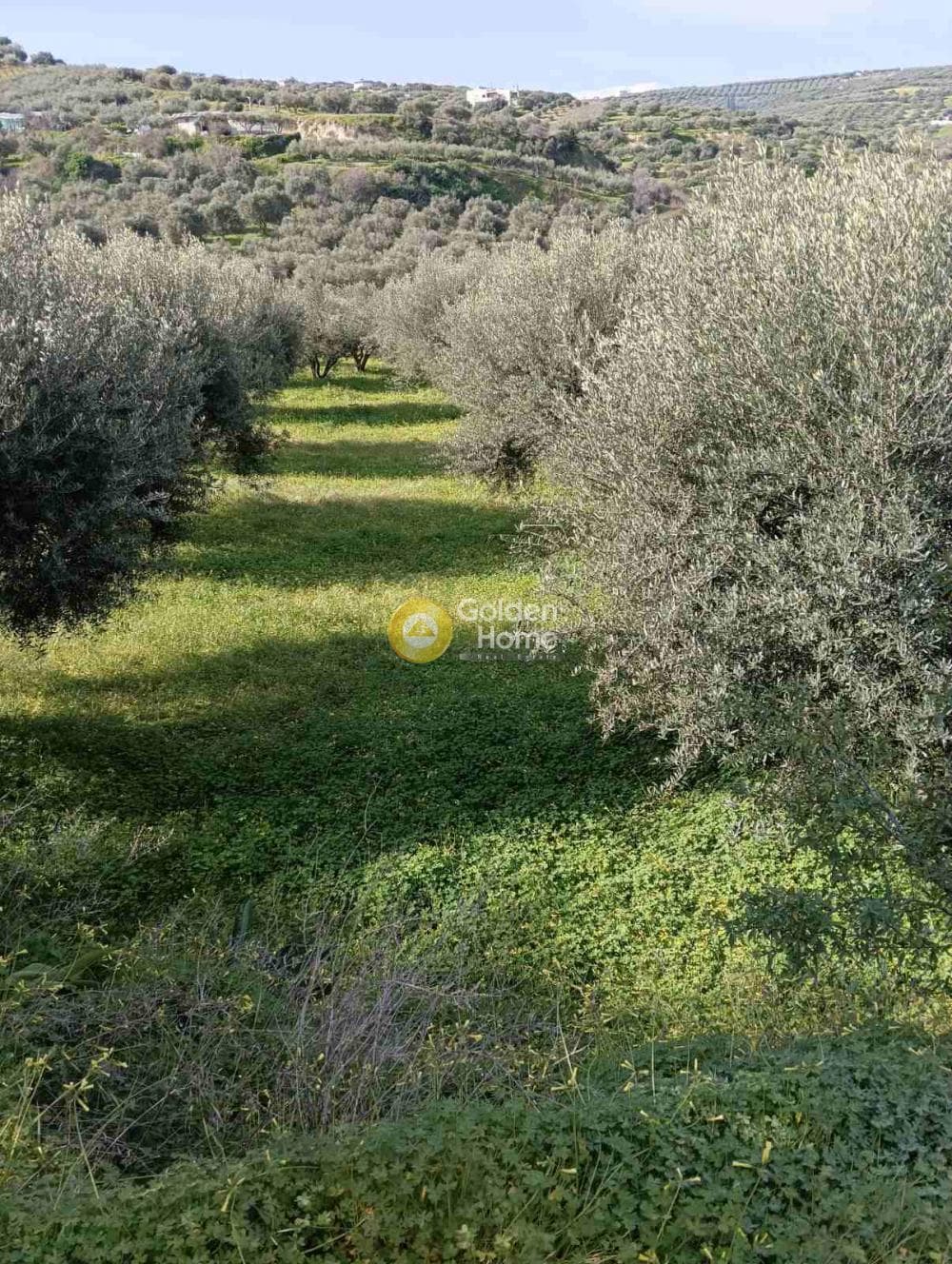 Building Plot in Skalani, Episkopi — Photo 3 of 7