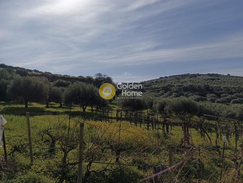 Building Plot in Skalani, Episkopi — Photo 4 of 7