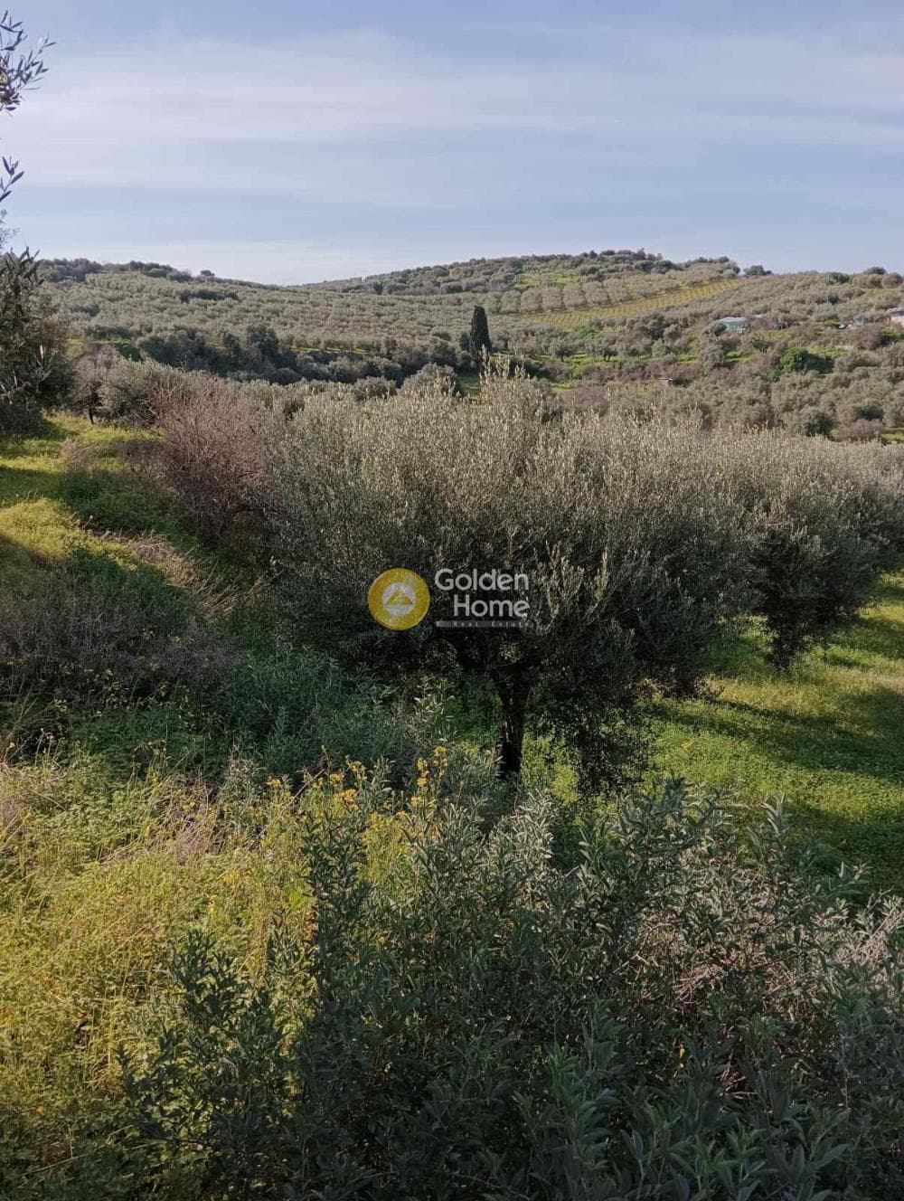 Building Plot in Skalani, Episkopi — Photo 6 of 7