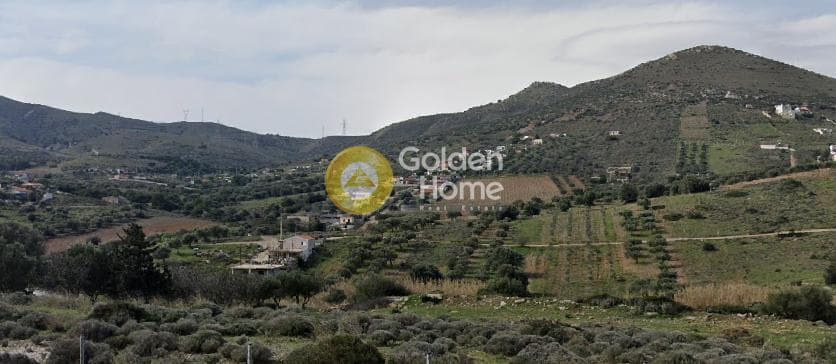 Οικόπεδο στην Διψέλιζα, Κερατέα — Φωτογραφία 1 από 2