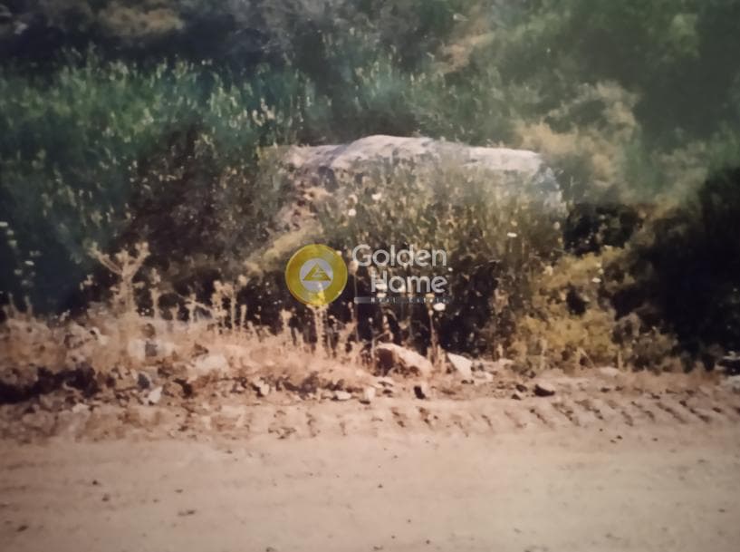 Οικόπεδο στην Φωτημάρι, Κέα — Φωτογραφία 11 από 12